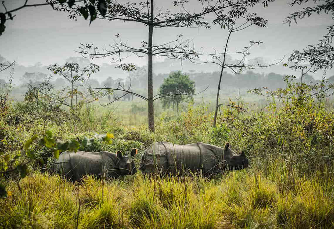 Chitwan